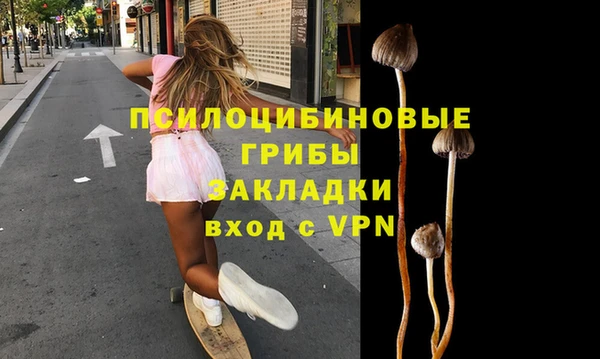 mix Новодвинск