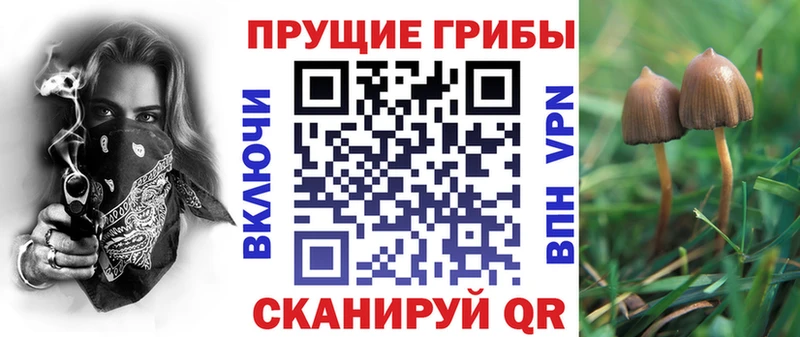 Псилоцибиновые грибы Magic Shrooms  цена наркотик  Туймазы 