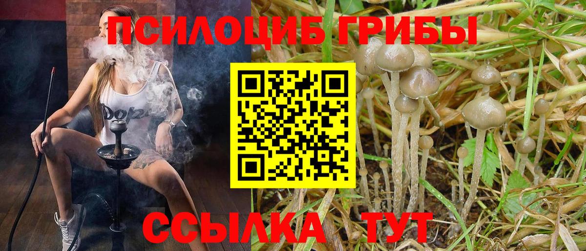 Галлюциногенные грибы GOLDEN TEACHER Туймазы